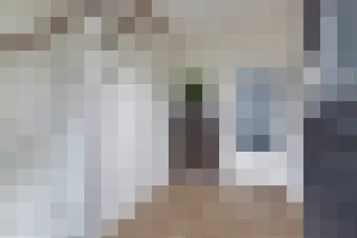 Walta 36 Drachten thumbnail 8