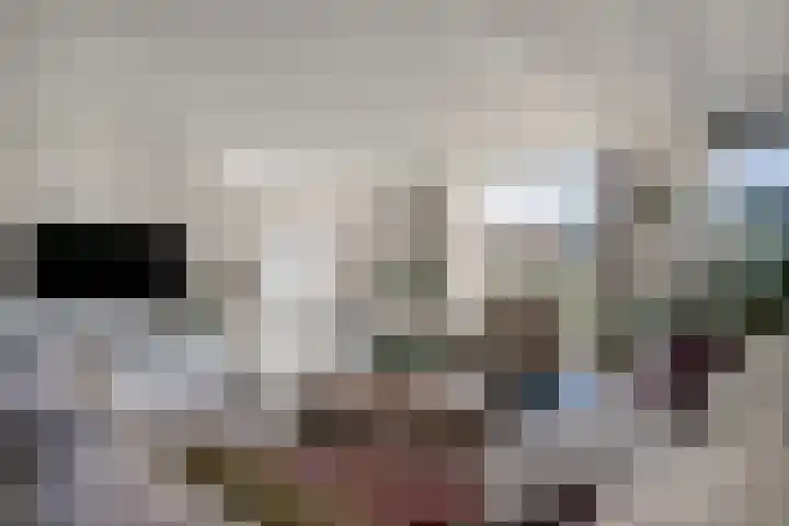 Walter Pompelaantje 2 Lith thumbnail 10