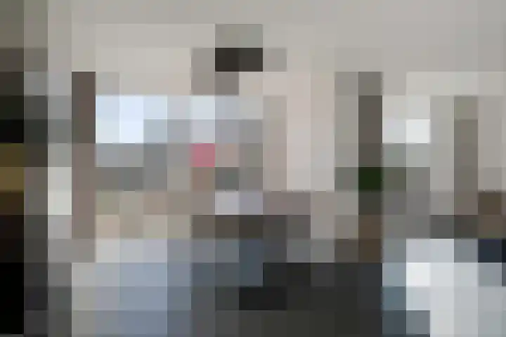 Walter Pompelaantje 2 Lith thumbnail 13