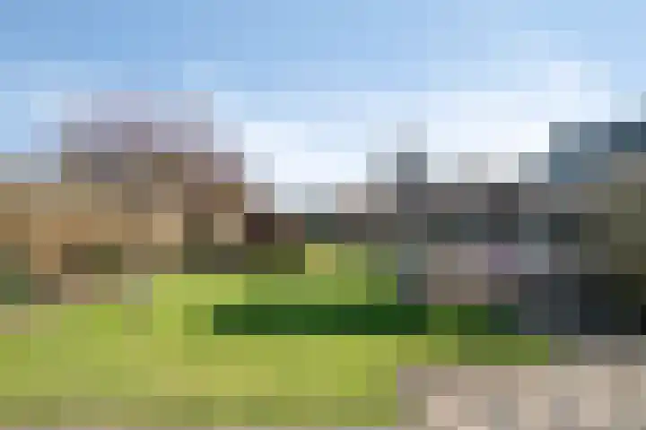 Walter Pompelaantje 2 Lith thumbnail 21