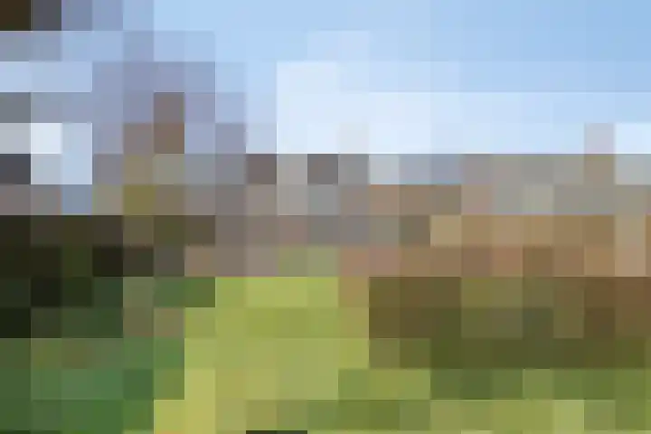Walter Pompelaantje 2 Lith thumbnail 24