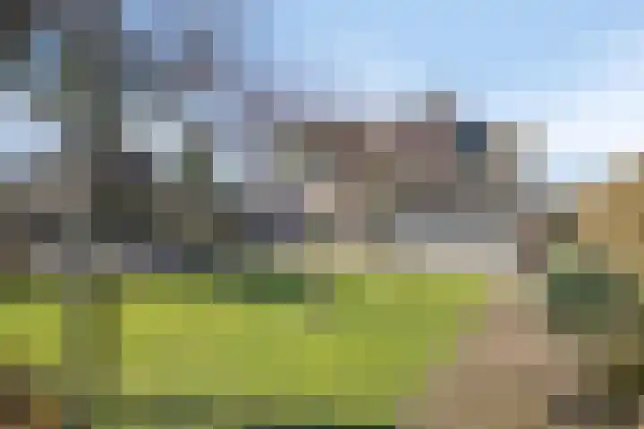 Walter Pompelaantje 2 Lith thumbnail 25