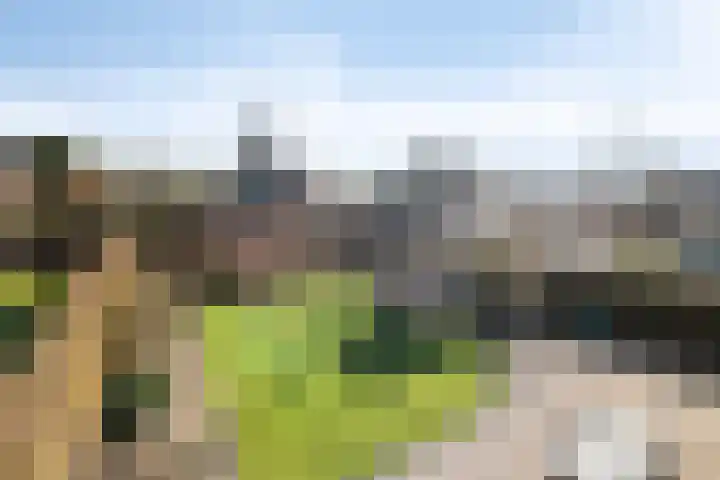 Walter Pompelaantje 2 Lith thumbnail 27
