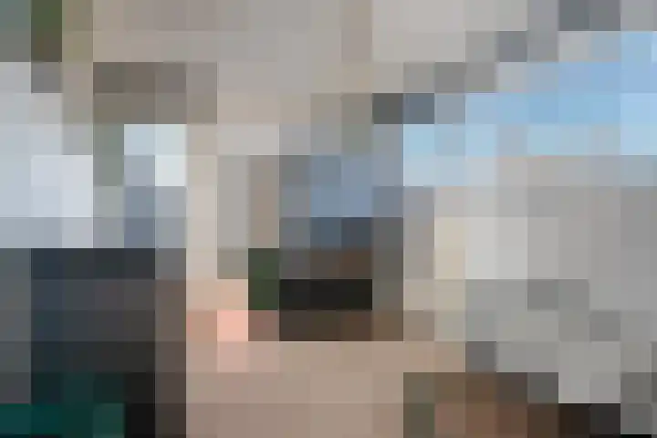 Walter Pompelaantje 2 Lith thumbnail 37