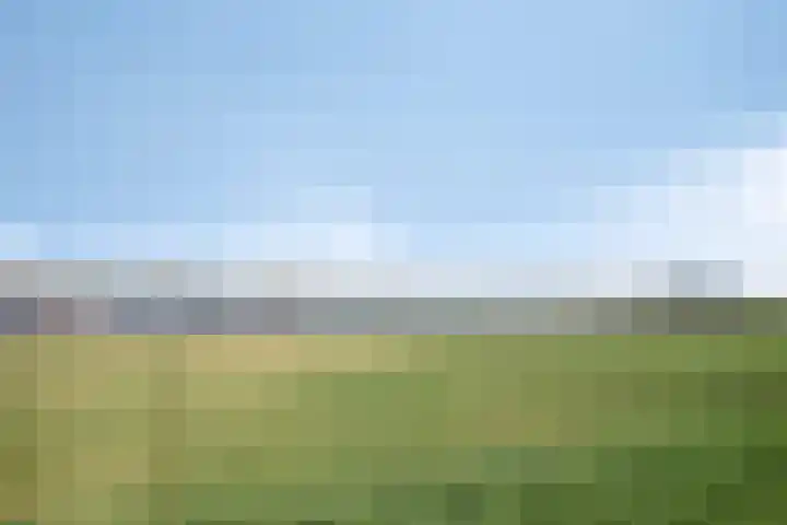 Walter Pompelaantje 2 Lith thumbnail 48
