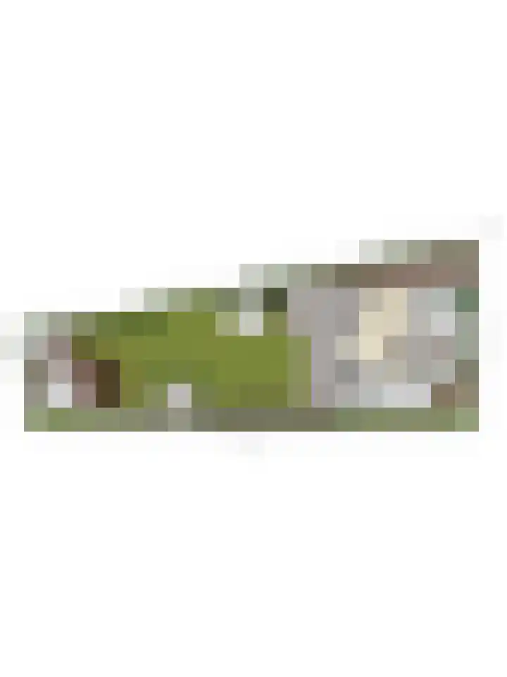 Walter Pompelaantje 2 Lith thumbnail 52