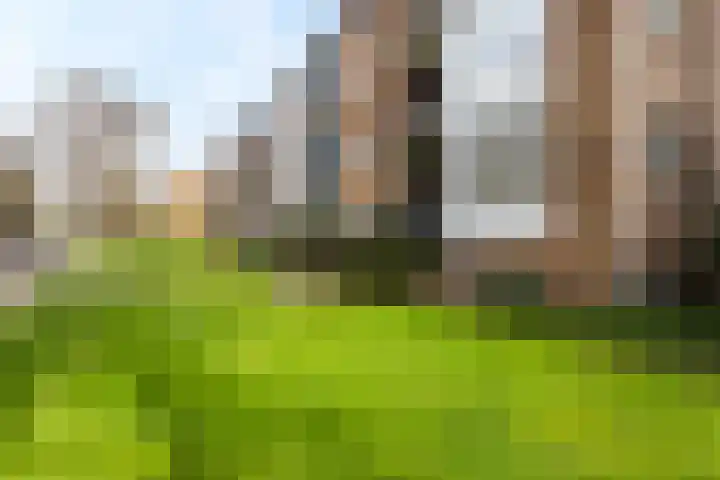 Waltersingel 2 A Apeldoorn thumbnail 21