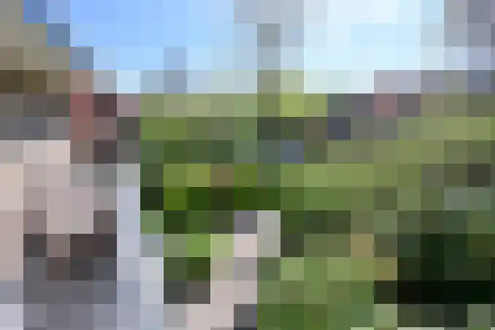 Waltherlaan 27 Bussum thumbnail 18
