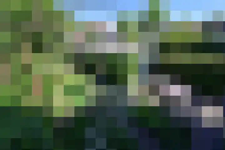 Waltherlaan 27 Bussum thumbnail 22
