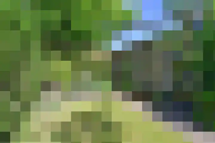 Waltherlaan 27 Bussum thumbnail 23