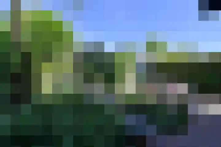 Waltherlaan 27 Bussum thumbnail 8