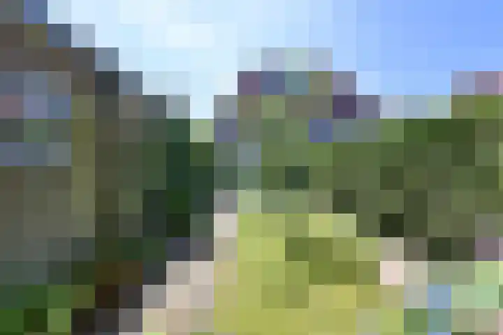 Waltherlaan 27 Bussum thumbnail 9