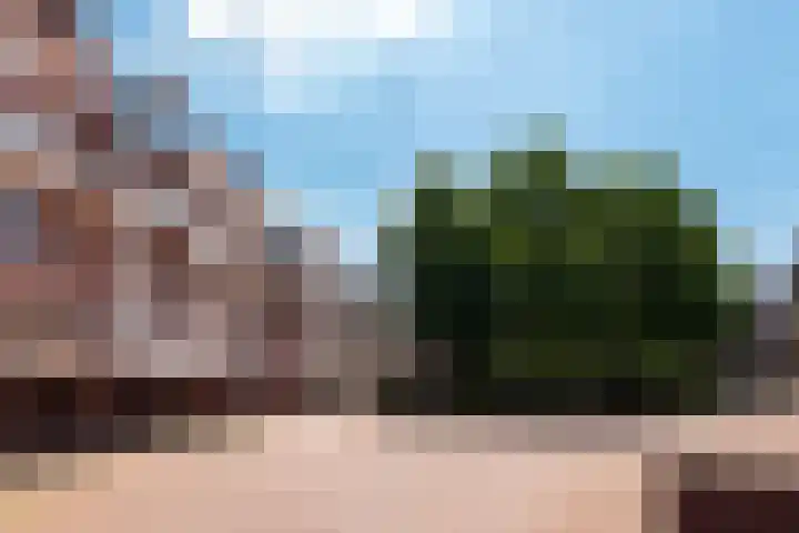 Waltoren 41 Amersfoort thumbnail 25