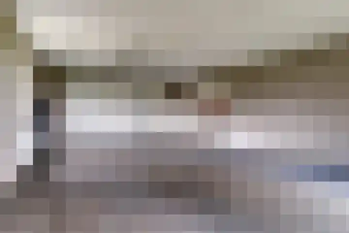 Walweg 3 Haghorst thumbnail 29