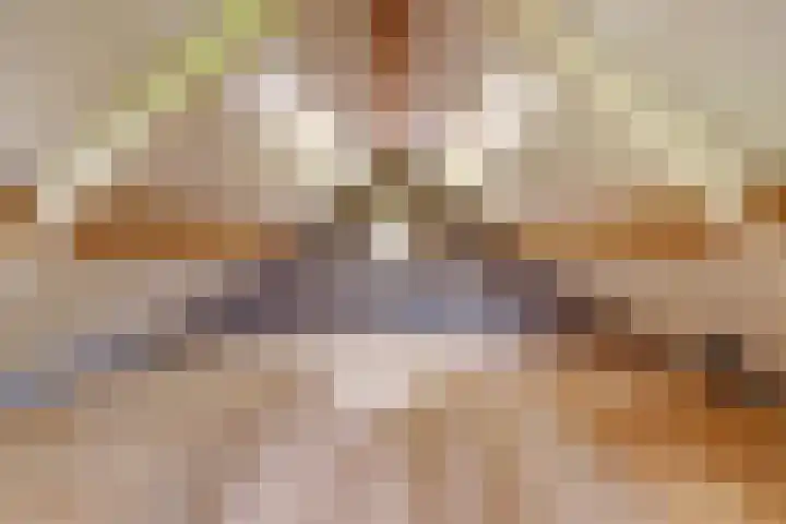 Walweg 3 Haghorst thumbnail 31