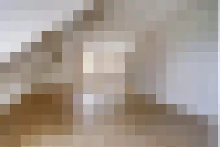 Walweg 3 Haghorst thumbnail 36