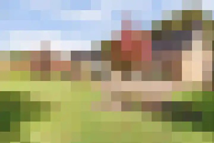 Walweg 3 Haghorst thumbnail 4
