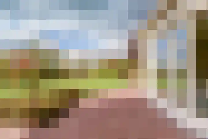 Walweg 3 Haghorst thumbnail 46