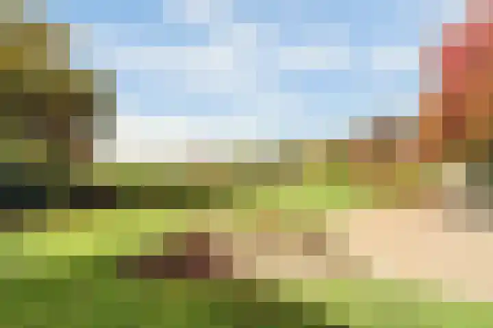 Walweg 3 Haghorst thumbnail 47