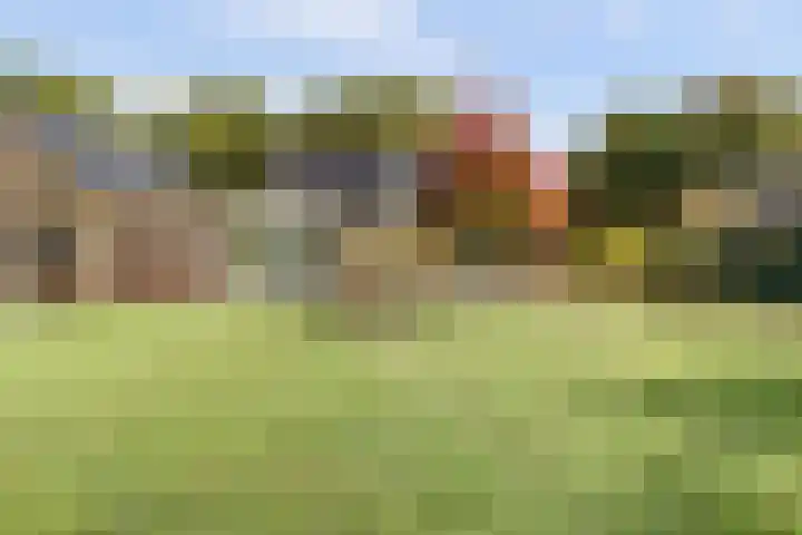 Walweg 3 Haghorst thumbnail 49