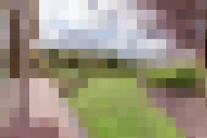 Walweg 3 Haghorst thumbnail 5