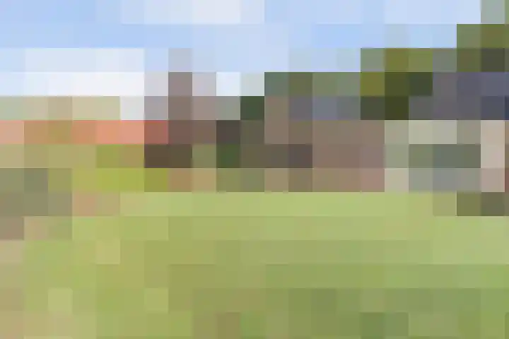 Walweg 3 Haghorst thumbnail 50