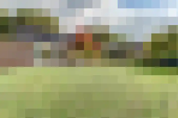 Walweg 3 Haghorst thumbnail 51