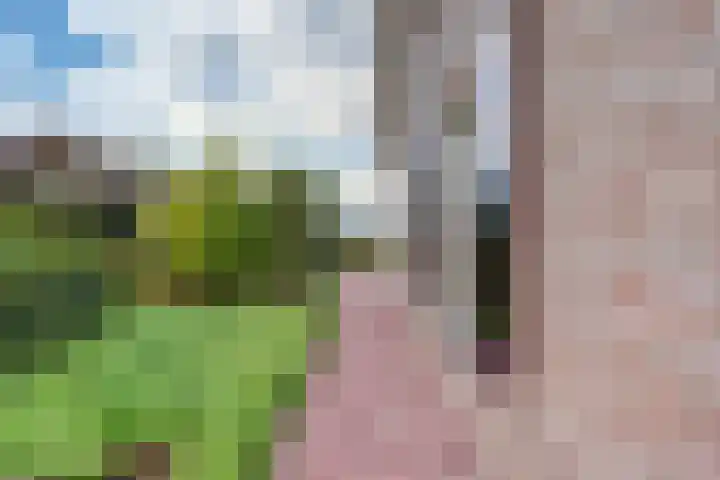 Walweg 3 Haghorst thumbnail 52