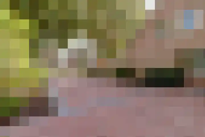 Walweg 3 Haghorst thumbnail 54