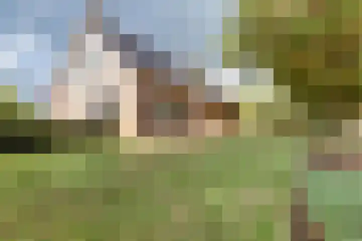 Walweg 3 Haghorst thumbnail 55