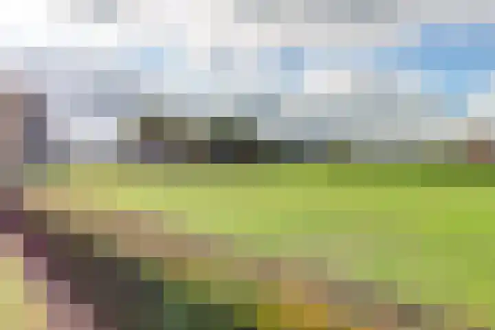 Walweg 3 Haghorst thumbnail 6