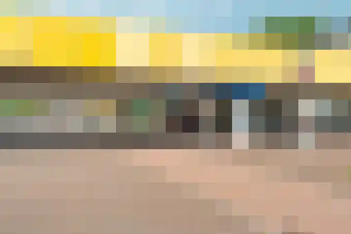 Wamelplein 67 Amsterdam thumbnail 26