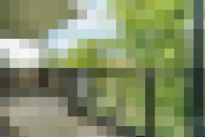 Wamelplein 67 Amsterdam thumbnail 9