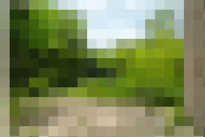 Wamelplein 81 Amsterdam thumbnail 11