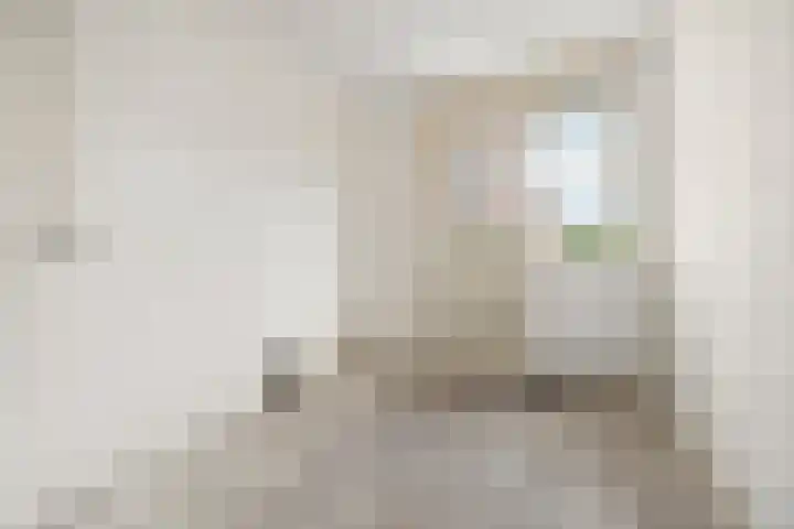 Wamelplein 81 Amsterdam thumbnail 12
