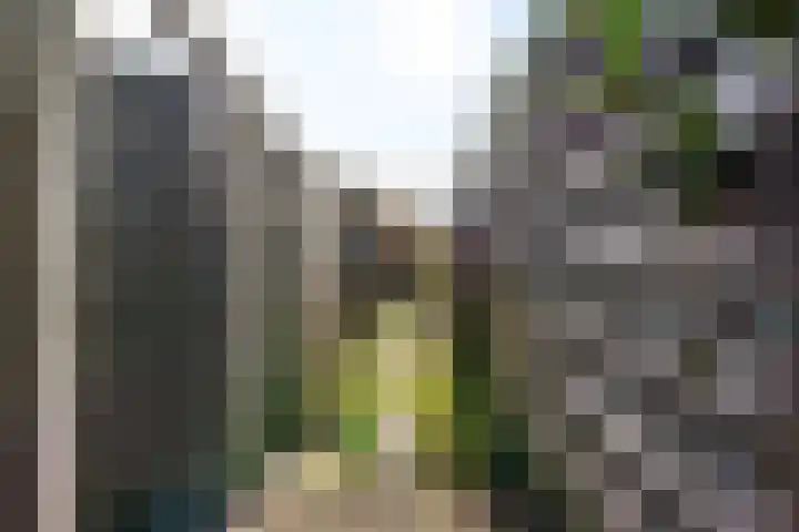 Wan 12 Hasselt thumbnail 15