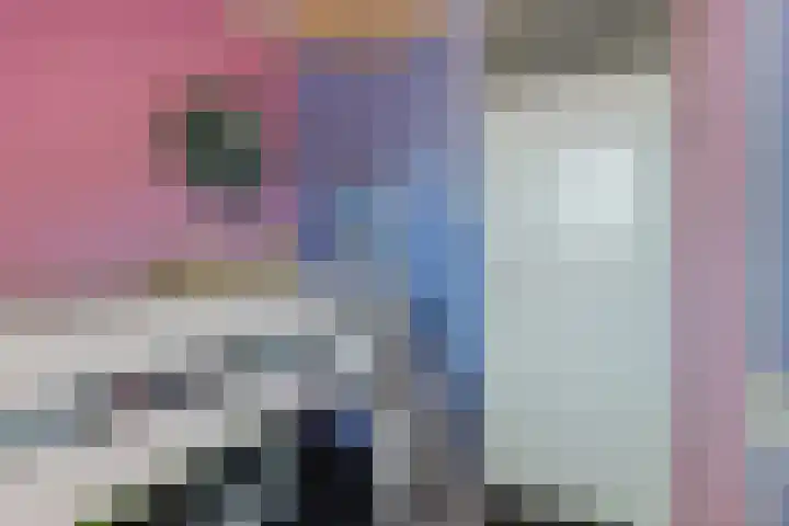Wan 12 Hasselt thumbnail 19