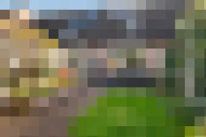 Wan 12 Hasselt foto 2