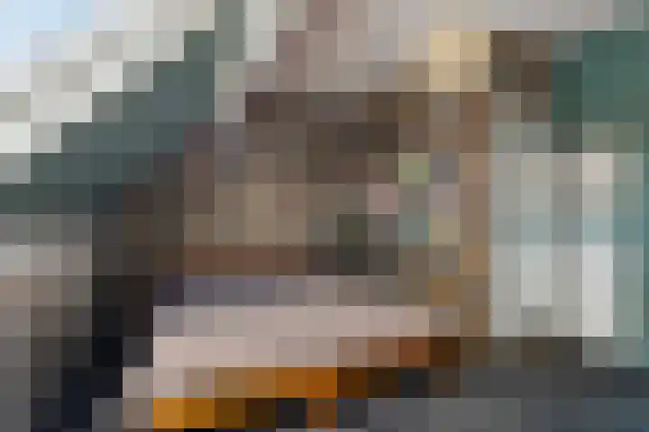 Wan 12 Hasselt thumbnail 20