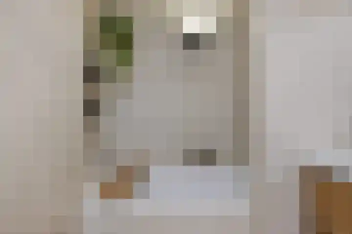 Wan 12 Hasselt thumbnail 23