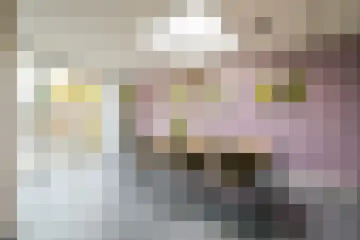 Wanmolen 25 Wieringerwerf thumbnail 16