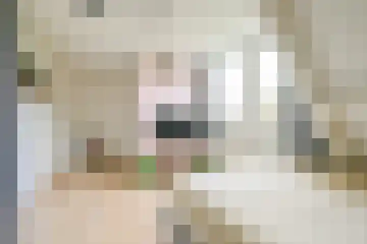 Wanmolen 25 Wieringerwerf thumbnail 30