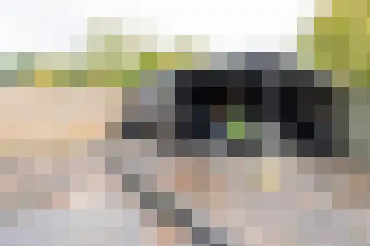 Wanmolen 25 Wieringerwerf thumbnail 40