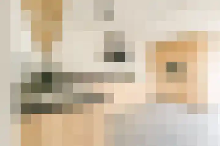 Wanmolen 25 Wieringerwerf thumbnail 6