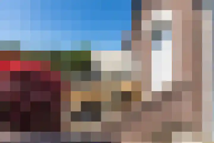 Wanroijseweg 30 Mill thumbnail 29