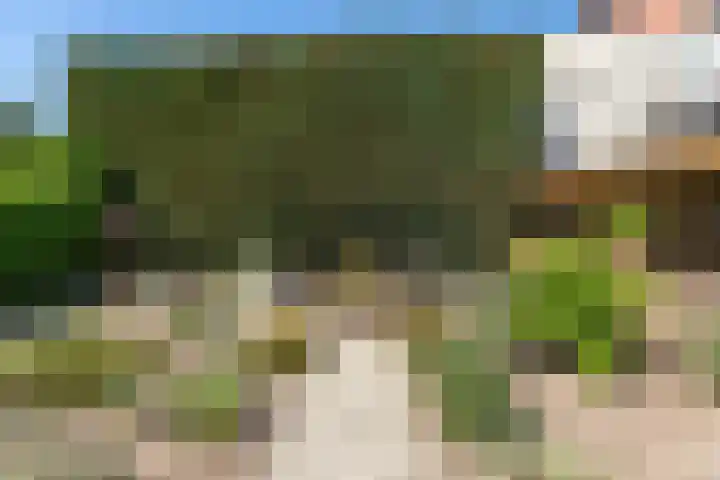 Wanroijseweg 30 Mill thumbnail 30