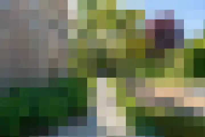 Wanroijseweg 30 Mill thumbnail 33