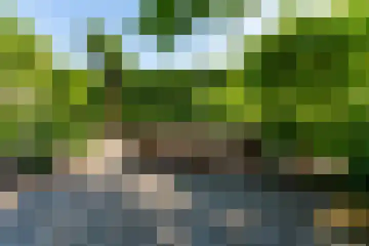 Wanroijseweg 30 Mill thumbnail 36