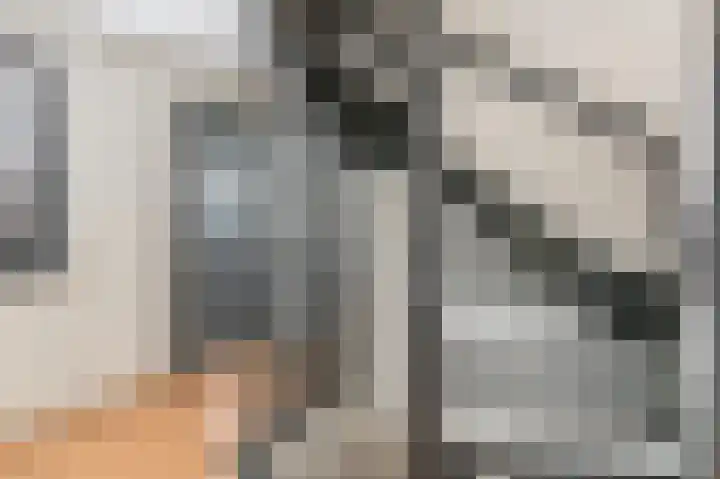 Wansink 13 Markelo thumbnail 18