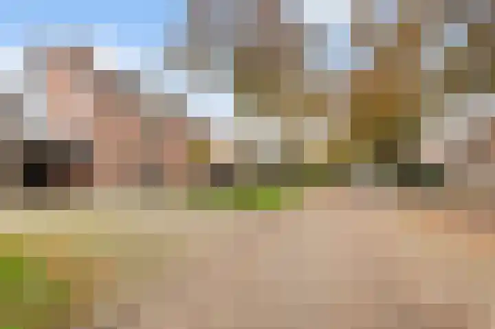 Wansink 13 Markelo thumbnail 35